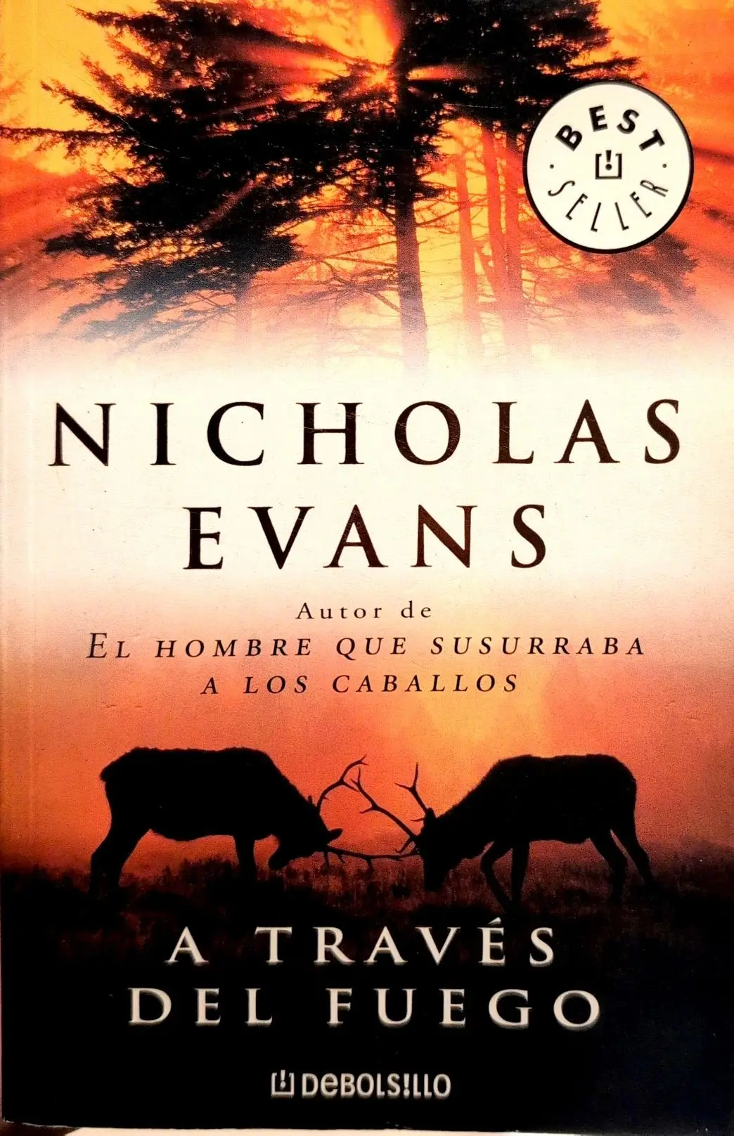Portada de A través del fuego de Barbara Wood