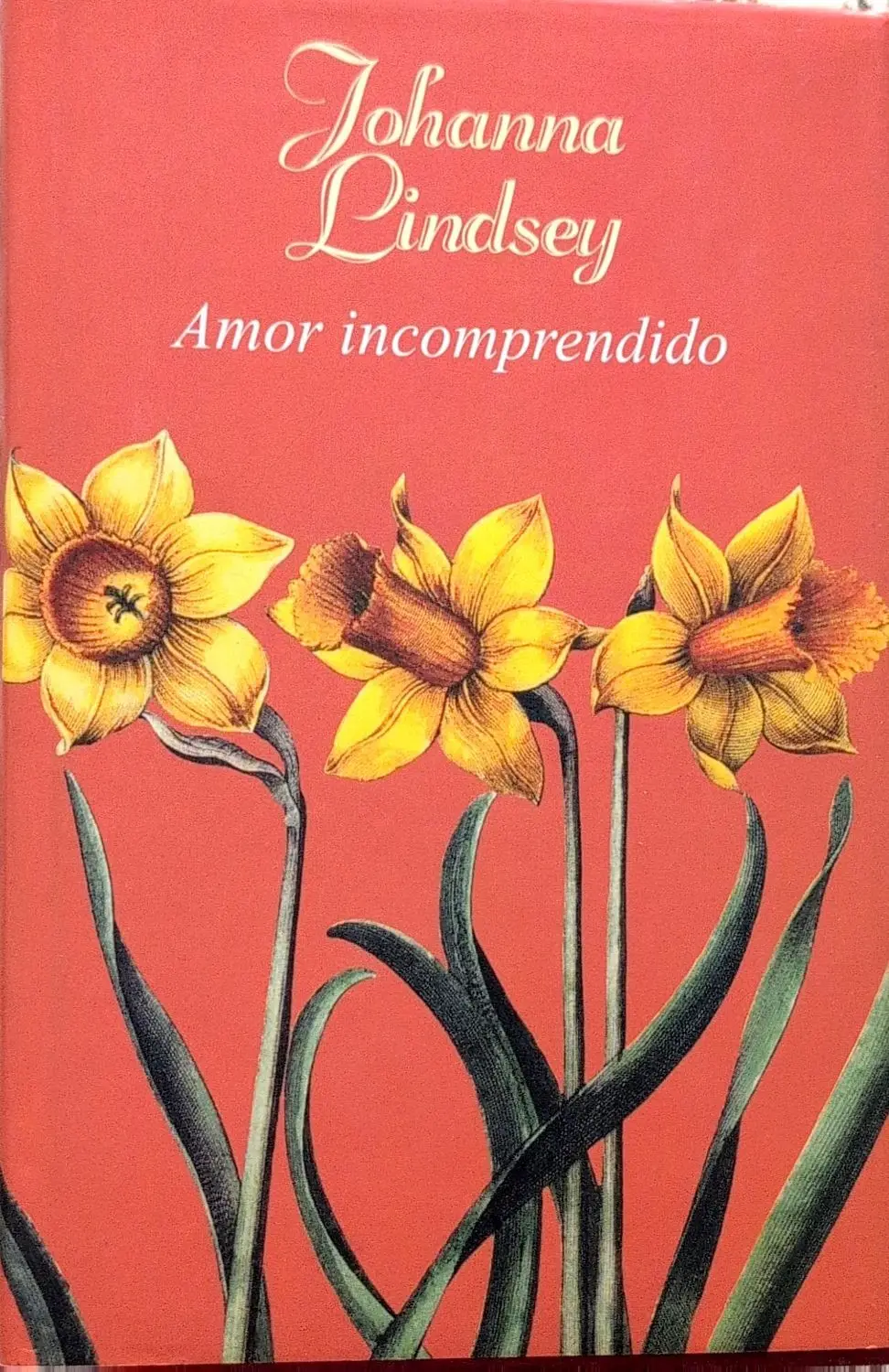 Portada de Amor incomprendido de Danielle Steel