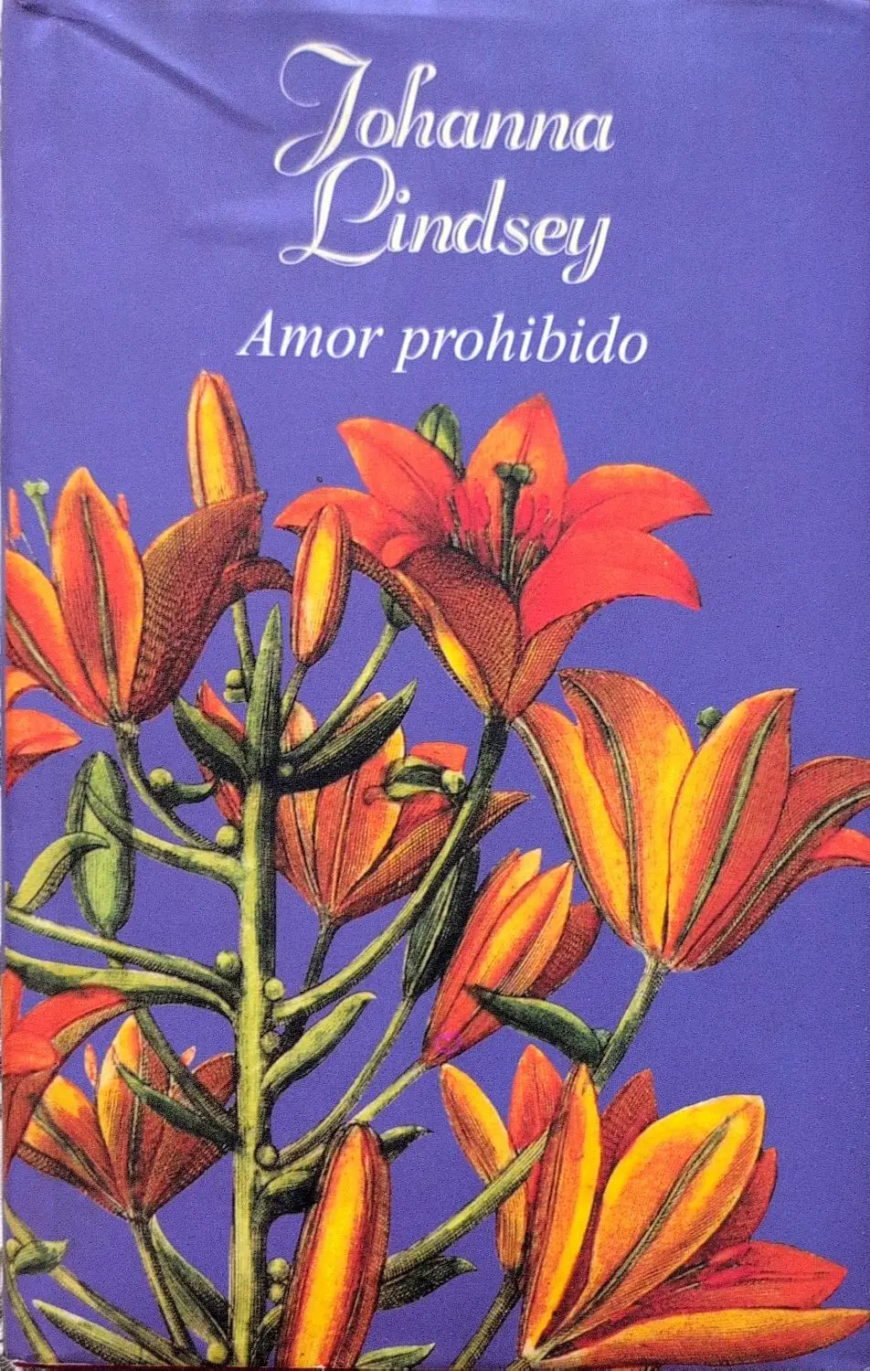 Portada de Amor prohibido de Danielle Steel