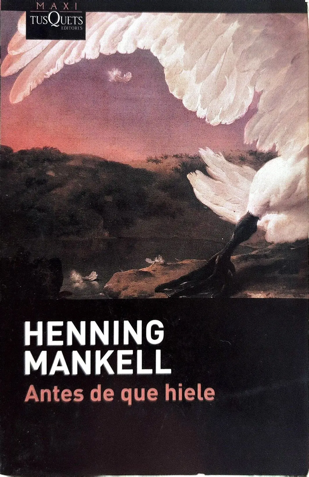 Portada de Antes de que hiele de Henning Mankell