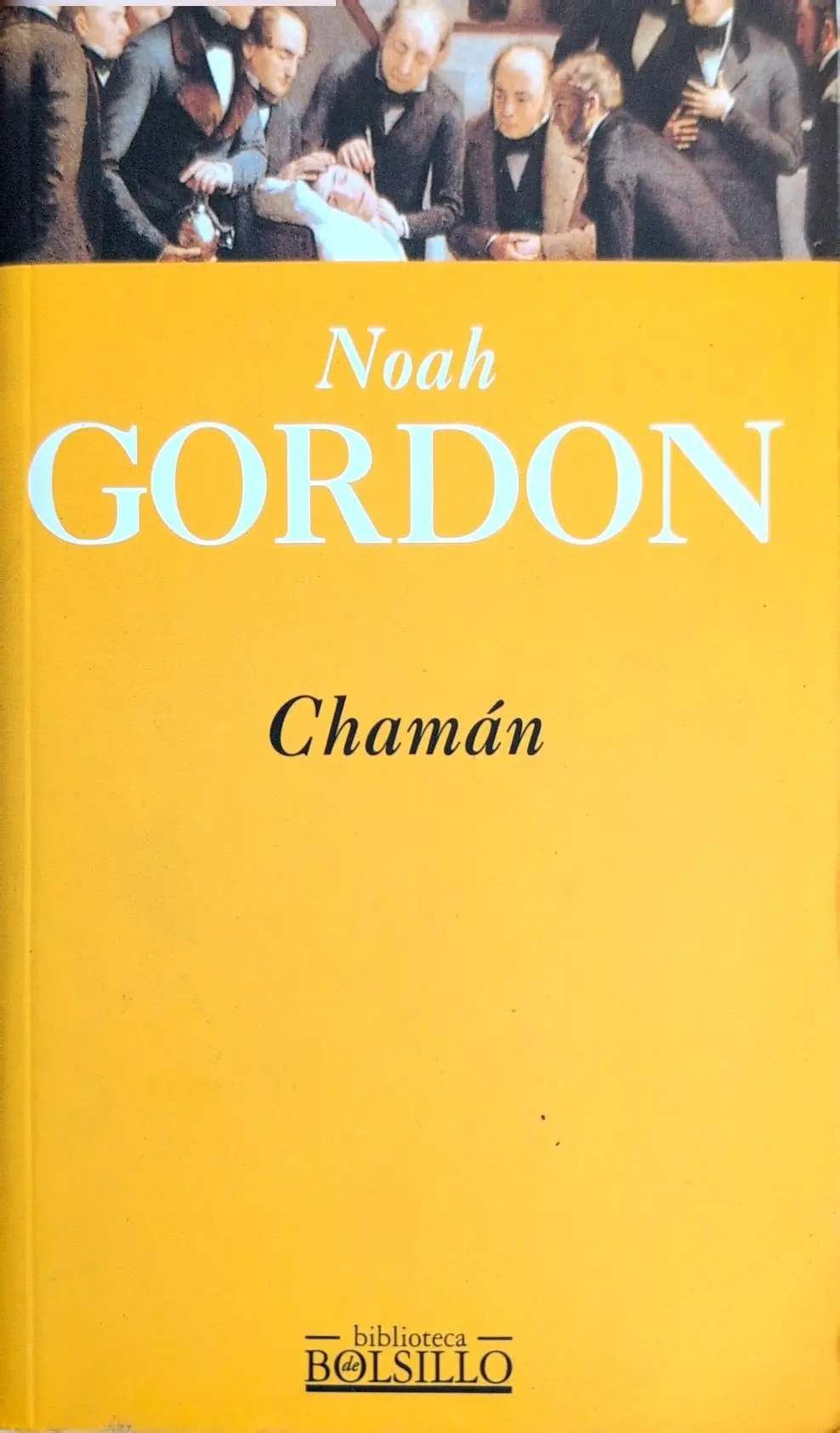 Portada de Chamán de Noah Gordon