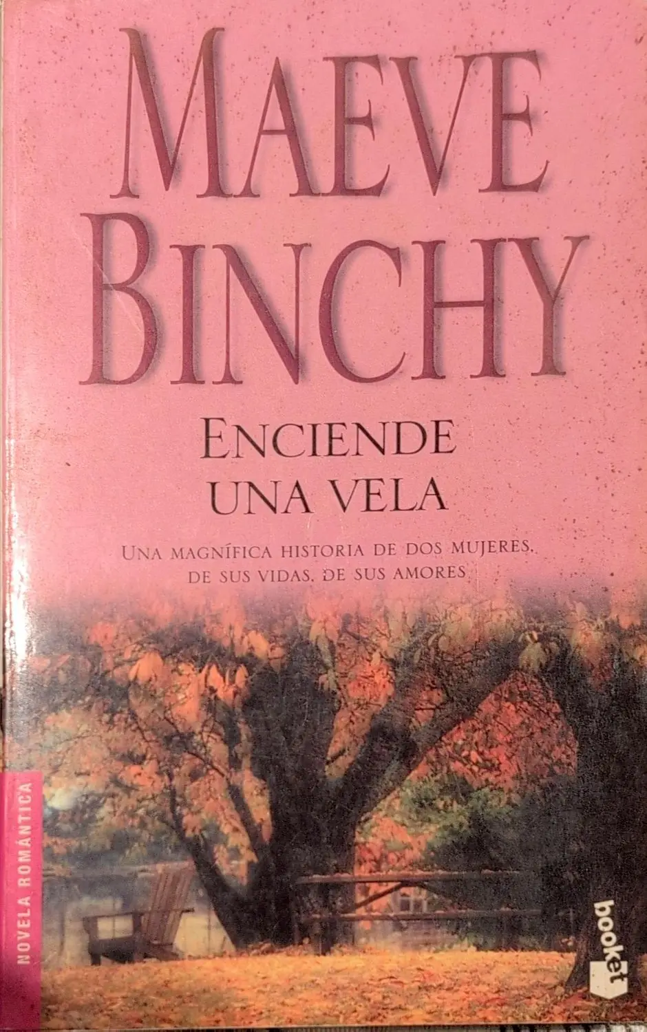 Portada de Enciende una vela de Danielle Steel