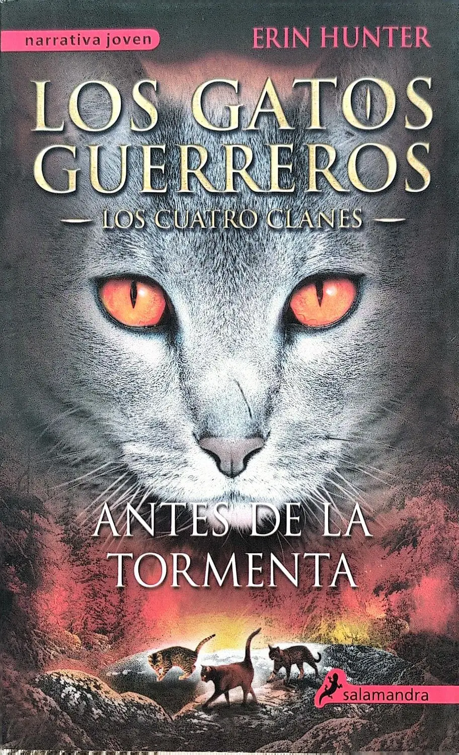 Portada de Gatos Guerreros Los Cuatro Clanes IV: Antes de la tormenta de Erin Hunter