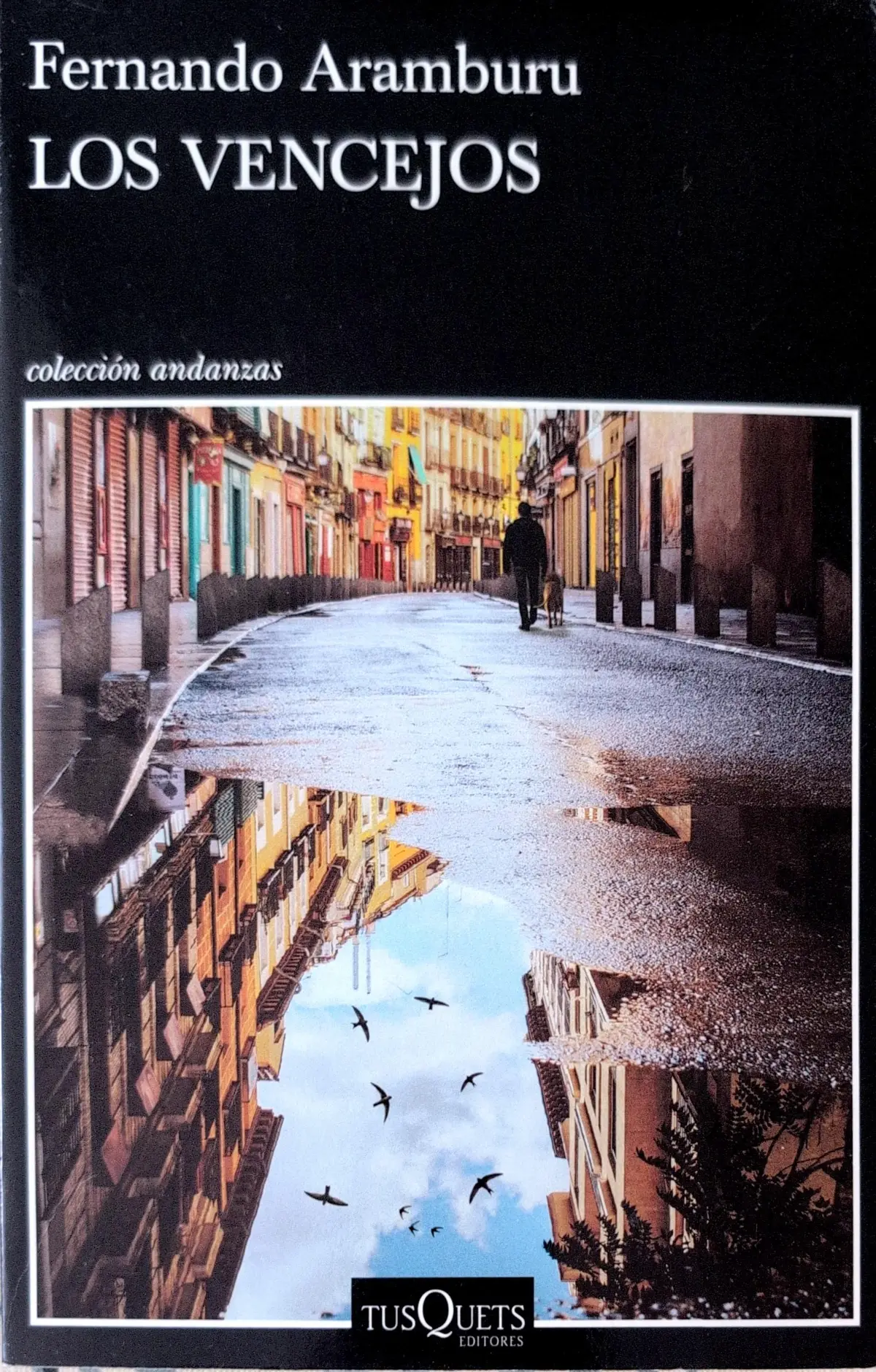 Portada de Los vencejos de Fernando Aramburu