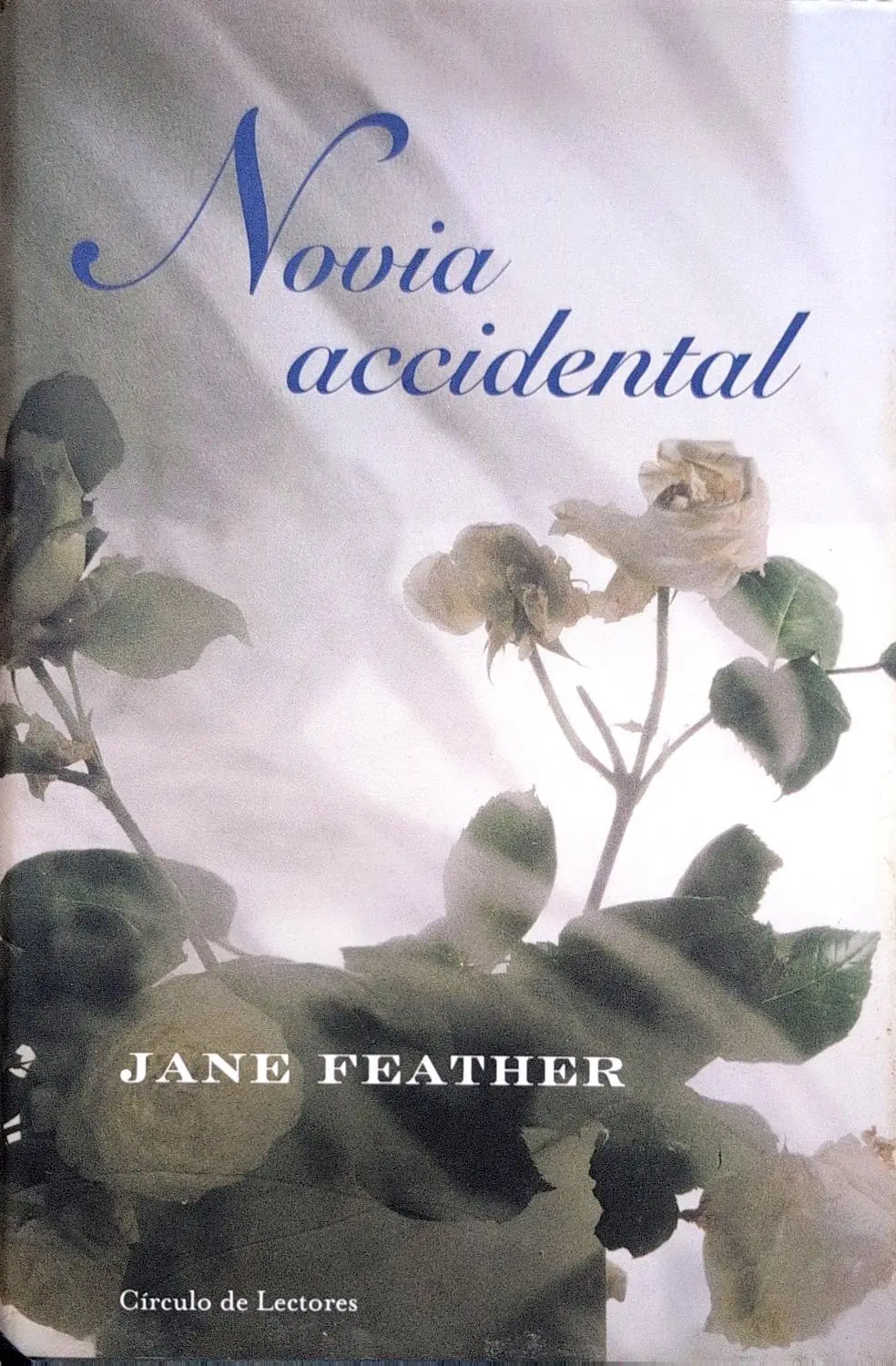 Portada de Novia accidental de Danielle Steel